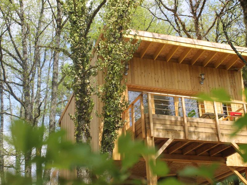 Cabane en bois perchée dans les arbres, entourée de verdure luxuriante.