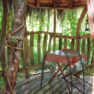 Cabane perchée en bois avec une table à carreaux, entourée de verdure luxuriante.