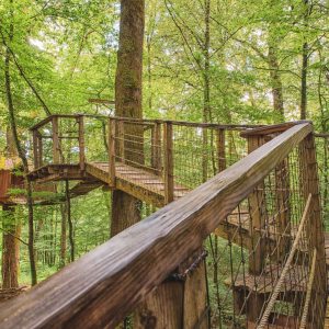 Cabane perchée dans les arbres, accessible par un chemin en bois au cœur de la forêt.