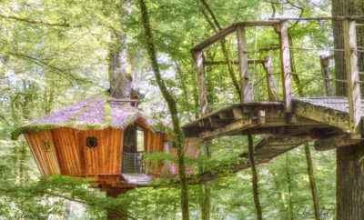 L’Arbre à Cabane