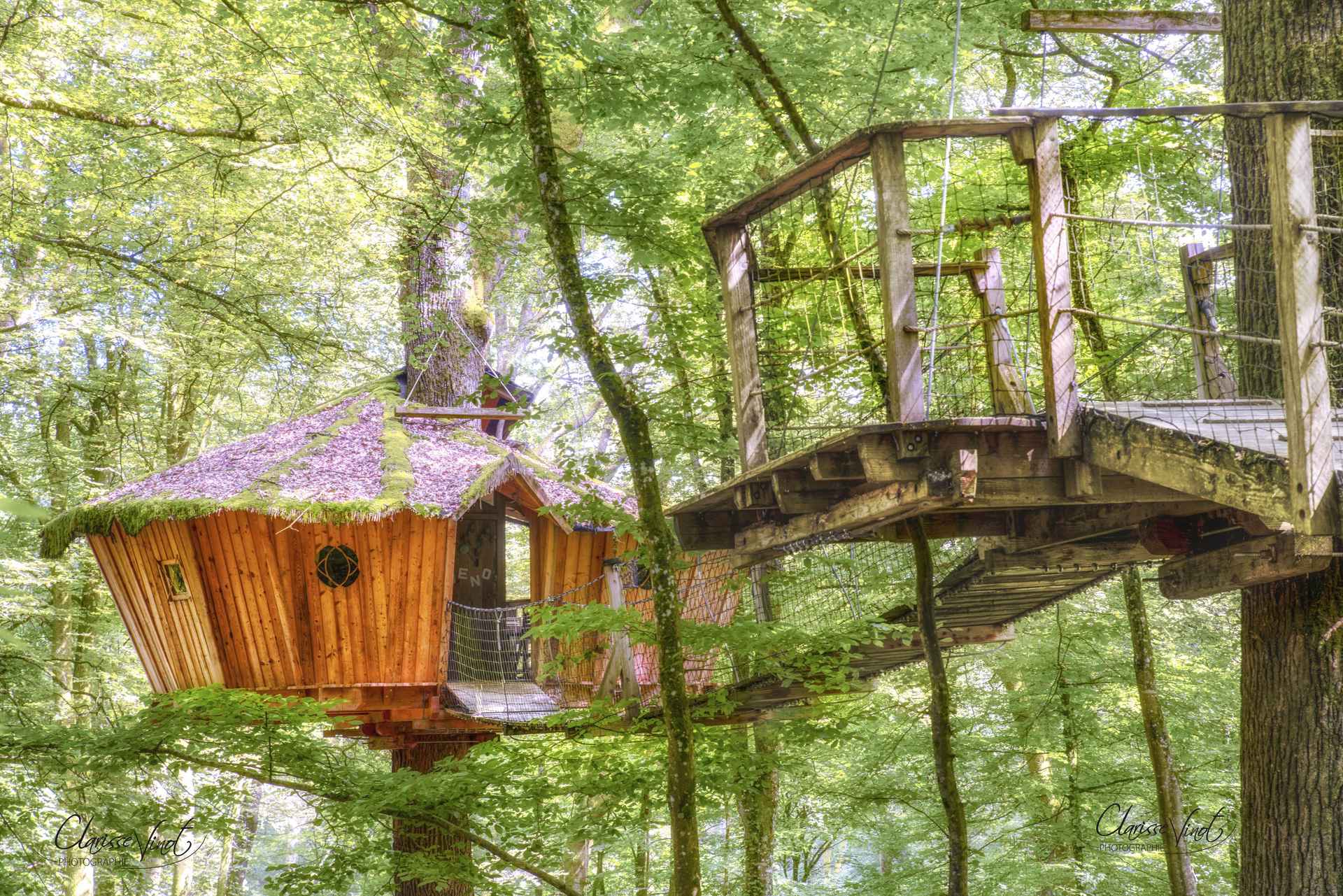 Cabane el Sueño – L’Arbre à Cabane : Cabane dans les arbres en