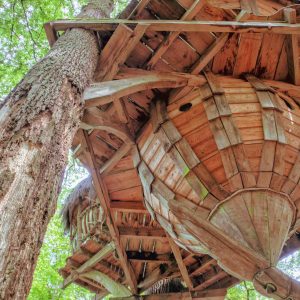 Cabane perchée en bois, suspendue entre les arbres, offrant une vue imprenable sur la nature.