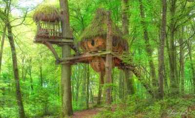 Cabane Drommen – L’Arbre à Cabane