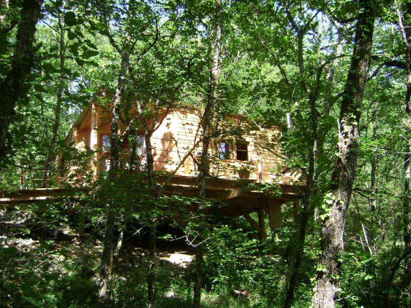 Cabane perchée dans les arbres, entourée de verdure luxuriante.