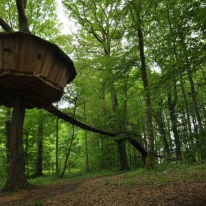 Cabane perchée dans les arbres, entourée dune forêt verdoyante à Champagne-Ardennes.