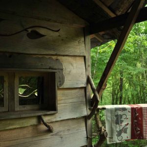 Cabane en bois perchée, avec vue sur la forêt et un linge coloré suspendu.