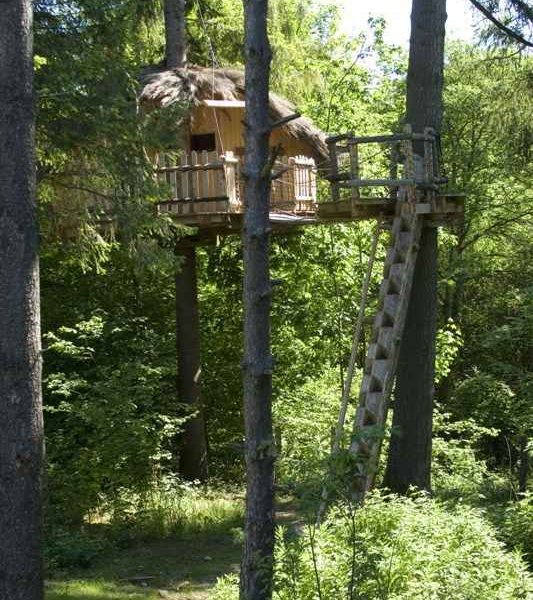 Cabane dans les arbres, perchée entre les sapins, avec une échelle en bois.