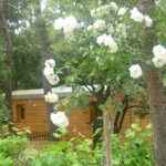 Entre Vignes et Oliviers