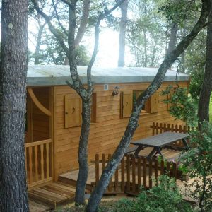 Cabane en bois entourée darbres, avec terrasse et table extérieure.