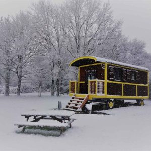 Roulotte colorée sous la neige, entourée darbres enneigés et dun banc.