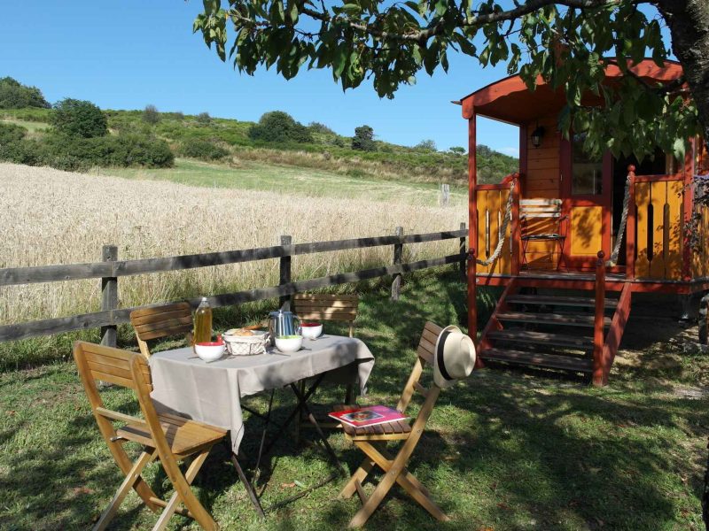 Cabane en bois colorée avec une table de pique-nique sous un arbre, vue sur les champs.