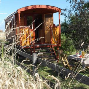 Charmante roulotte en bois entourée de verdure, avec une table en extérieur.