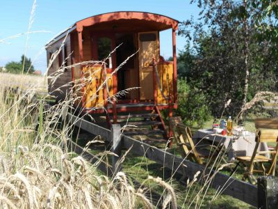 Charmante roulotte en bois entourée de verdure, avec une table en extérieur.