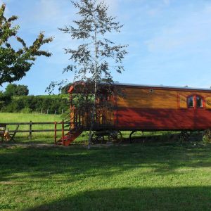 Roulotte colorée en bois, entourée de verdure, idéale pour un séjour insolite en Auvergne.