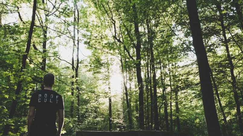 La nature, le bon remède pour garder le moral