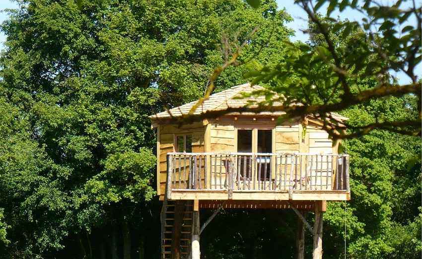 cabanes dans les arbres