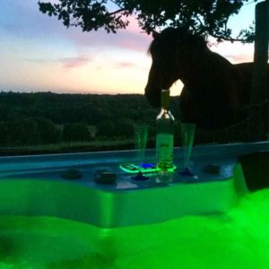 36087218_1854754631214626_1248263288882462720_n