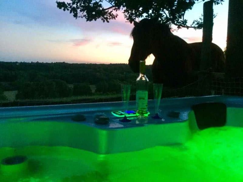 Gîte avec jacuzzi, offrant une vue imprenable sur le coucher de soleil et un cheval en arrière-plan.