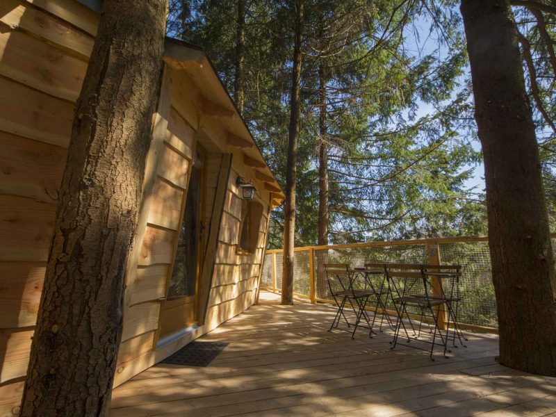 Cabane en bois perchée, avec terrasse en bois entourée darbres verdoyants.