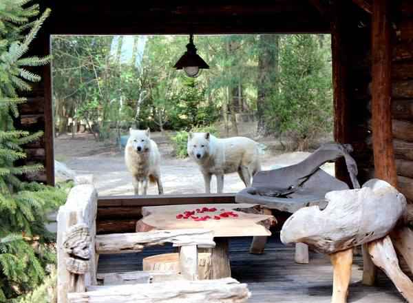 zoo de la fleche