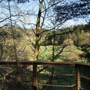 Cabane perchée en bois offrant une vue imprenable sur la vallée verdoyante.