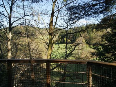 Cabane perchée en bois offrant une vue imprenable sur la vallée verdoyante.