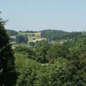 Hébergement insolite en Auvergne-Rhône-Alpes, avec vue panoramique sur la verdure environnante.