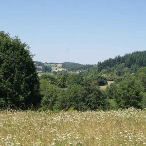 Hébergement insolite en pleine nature, entouré de verdure et de champs fleuris.