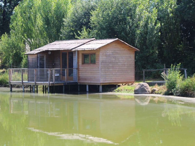 Cabane en bois au bord dun étang, entourée de verdure luxuriante.
