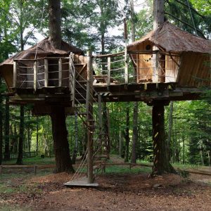 Cabane perchée dans les arbres, entourée de verdure, avec un accès par une échelle.