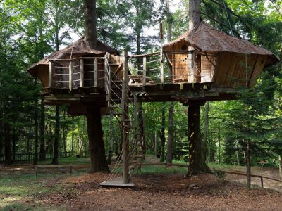 Cabane perchée dans les arbres, entourée de verdure, avec un accès par une échelle.