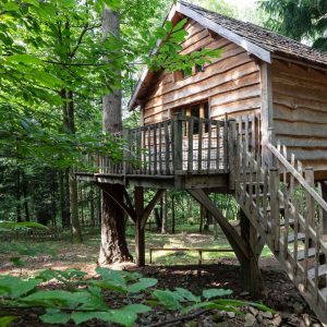 Cabane perchée en bois, entourée darbres verdoyants en Auvergne-Rhône-Alpes.