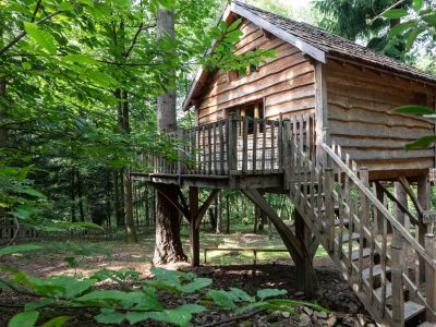 Cabane perchée en bois, entourée darbres verdoyants en Auvergne-Rhône-Alpes.