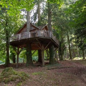 Cabane perchée dans les arbres, entourée de verdure en Auvergne-Rhône-Alpes.