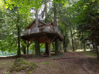 Cabane perchée dans les arbres, entourée de verdure en Auvergne-Rhône-Alpes.