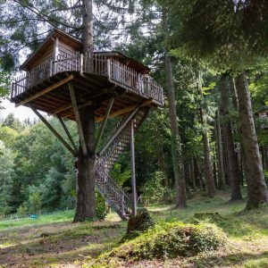 Cabane perchée dans les arbres, entourée de verdure en Auvergne-Rhône-Alpes.