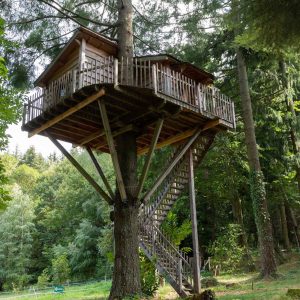 Cabane perchée dans les arbres, entourée de verdure en Auvergne-Rhône-Alpes.