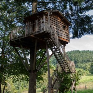 Cabane perchée dans un arbre, offrant une vue imprenable sur la nature environnante.