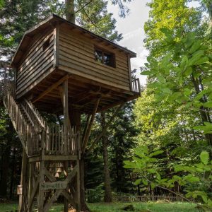 Cabane perchée en bois dans les arbres, entourée de verdure luxuriante.