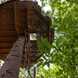 Cabane perchée dans un arbre, entourée de feuillage verdoyant en Auvergne-Rhône-Alpes.