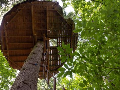 Cabane perchée dans un arbre, entourée de feuillage verdoyant en Auvergne-Rhône-Alpes.