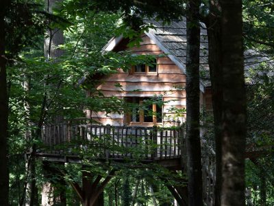 Cabane perchée en bois entourée darbres, offrant une vue paisible sur la nature.