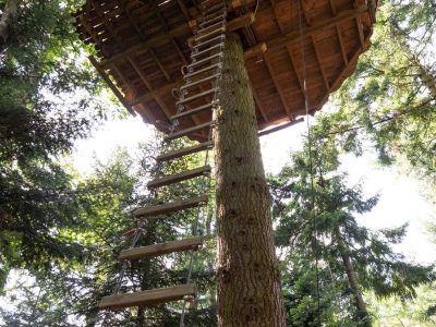 Cabane perchée dans les arbres, accessible par une échelle en bois, au cœur de la nature.