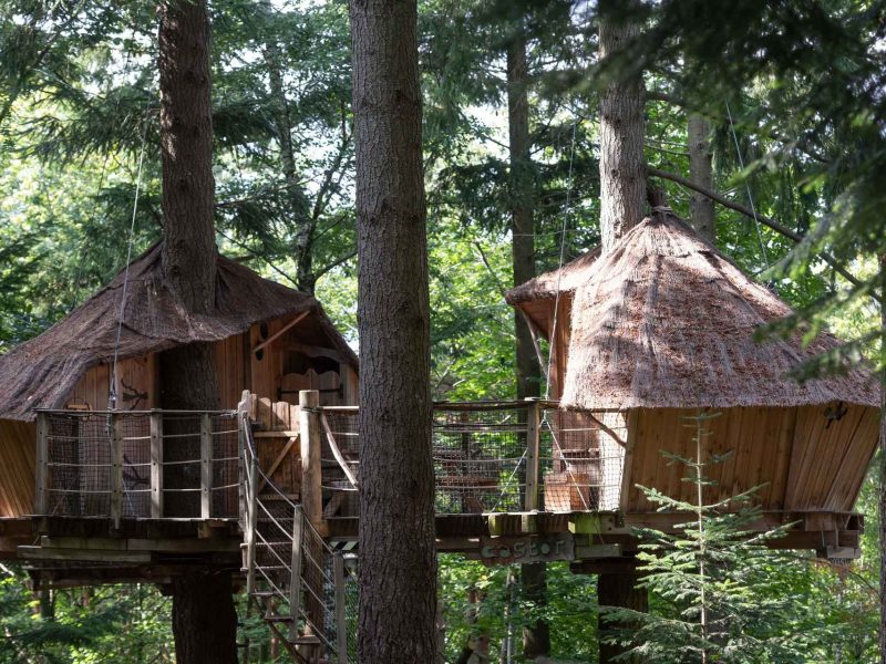 Cabane perchée dans les arbres, entourée de verdure luxuriante en Auvergne-Rhône-Alpes.