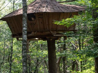 Cabane perchée dans les arbres, toit en chaume, au cœur dune forêt verdoyante.