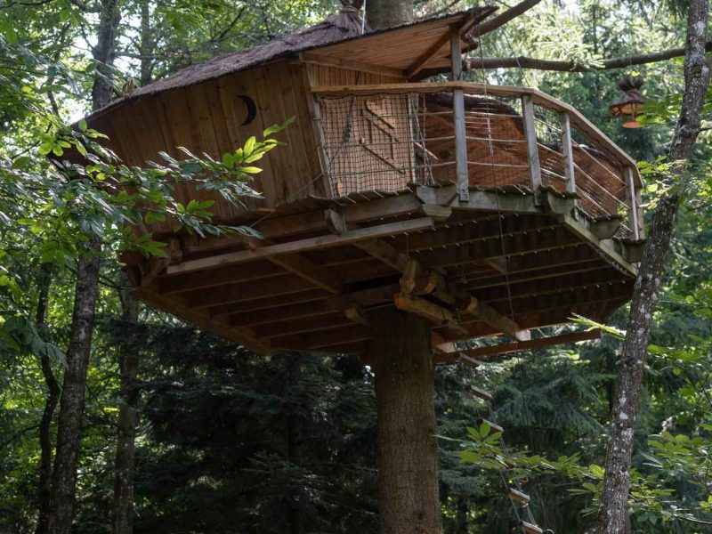 Cabane perchée dans les arbres, entourée de verdure luxuriante en Auvergne-Rhône-Alpes.