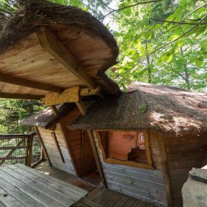 Cabane en bois avec toit de chaume, nichée dans la verdure dAuvergne-Rhône-Alpes.