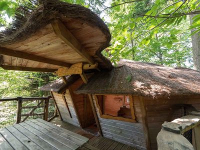 Cabane en bois avec toit de chaume, nichée dans la verdure dAuvergne-Rhône-Alpes.