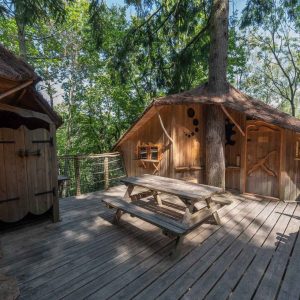 Cabane en bois perchée, entourée darbres, avec une terrasse en bois accueillante.