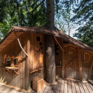 Cabane perchée en bois, intégrée à un arbre, entourée de verdure luxuriante.